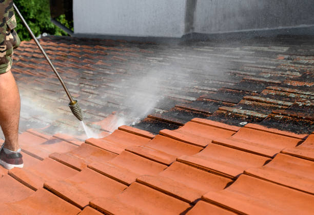 Best Exterior Home Cleaning  in Lake Isabella, CA