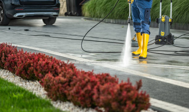 Best Fence Pressure Washing  in Lake Isabella, CA