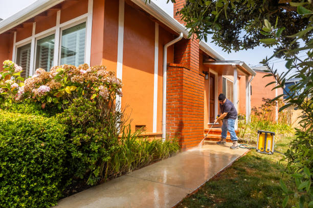 Best Affordable Pressure Washing  in Lake Isabella, CA