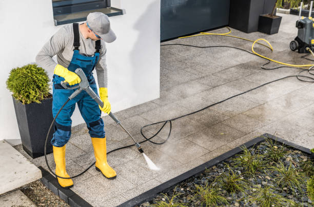 Best Local Pressure Washing Services  in Lake Isabella, CA
