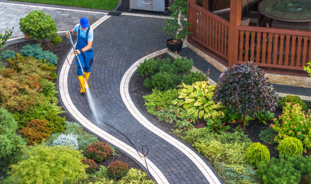 Best Residential Pressure Washing Services  in Lake Isabella, CA