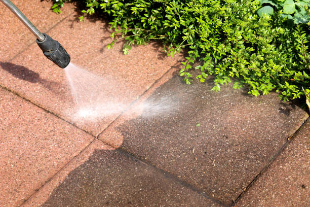 Best House Pressure Washing  in Lake Isabella, CA