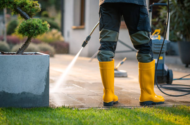 Best Affordable Power Washing  in Lake Isabella, CA